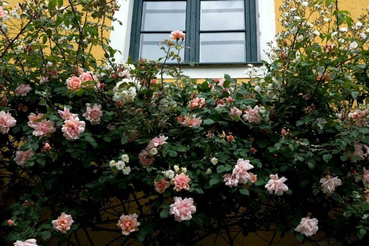 Bed and Breakfast Marienschlössl Wiedendorf Exterior foto